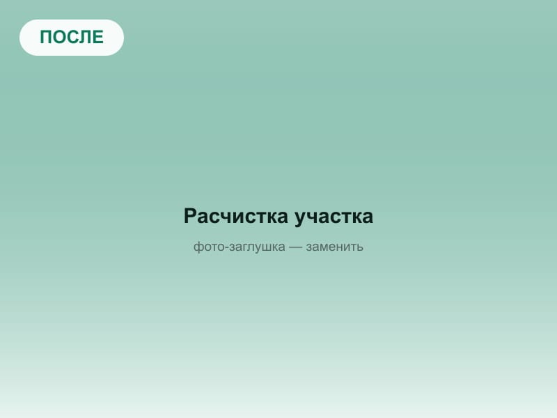После: Расчистка заросшего участка, Звенигород