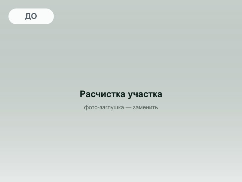 До: Расчистка заросшего участка, Звенигород