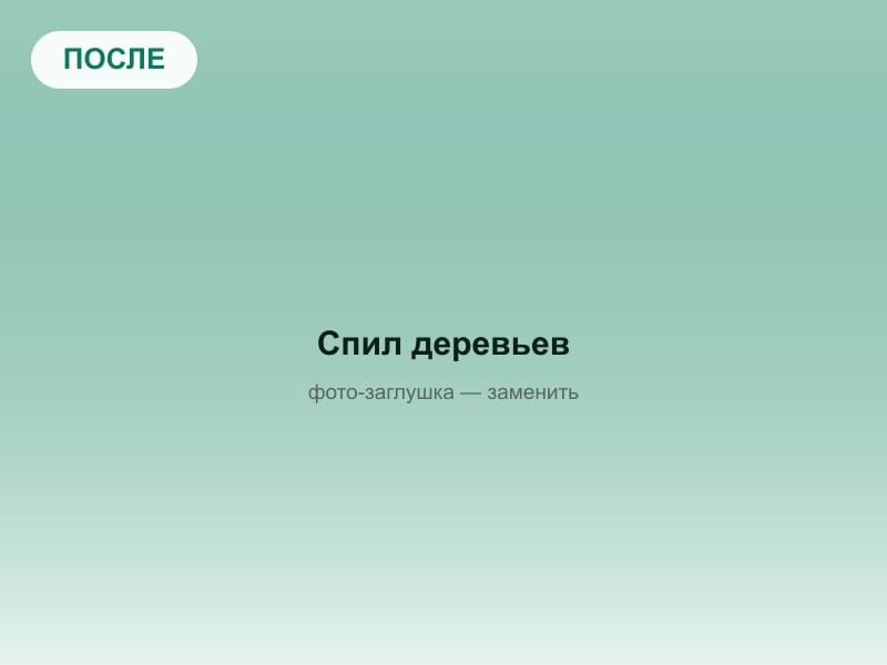 После: Спил и удаление деревьев, Одинцовский р-н