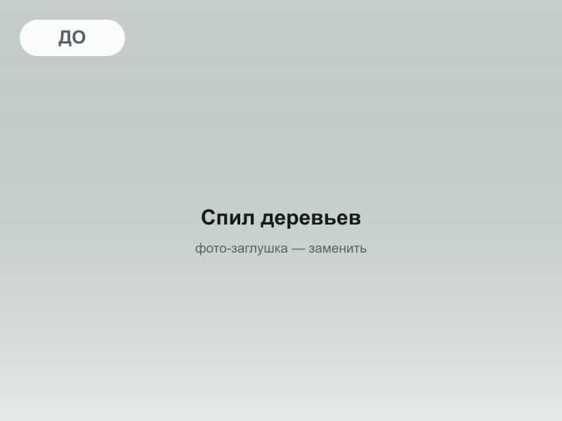 До: Спил и удаление деревьев, Одинцовский р-н